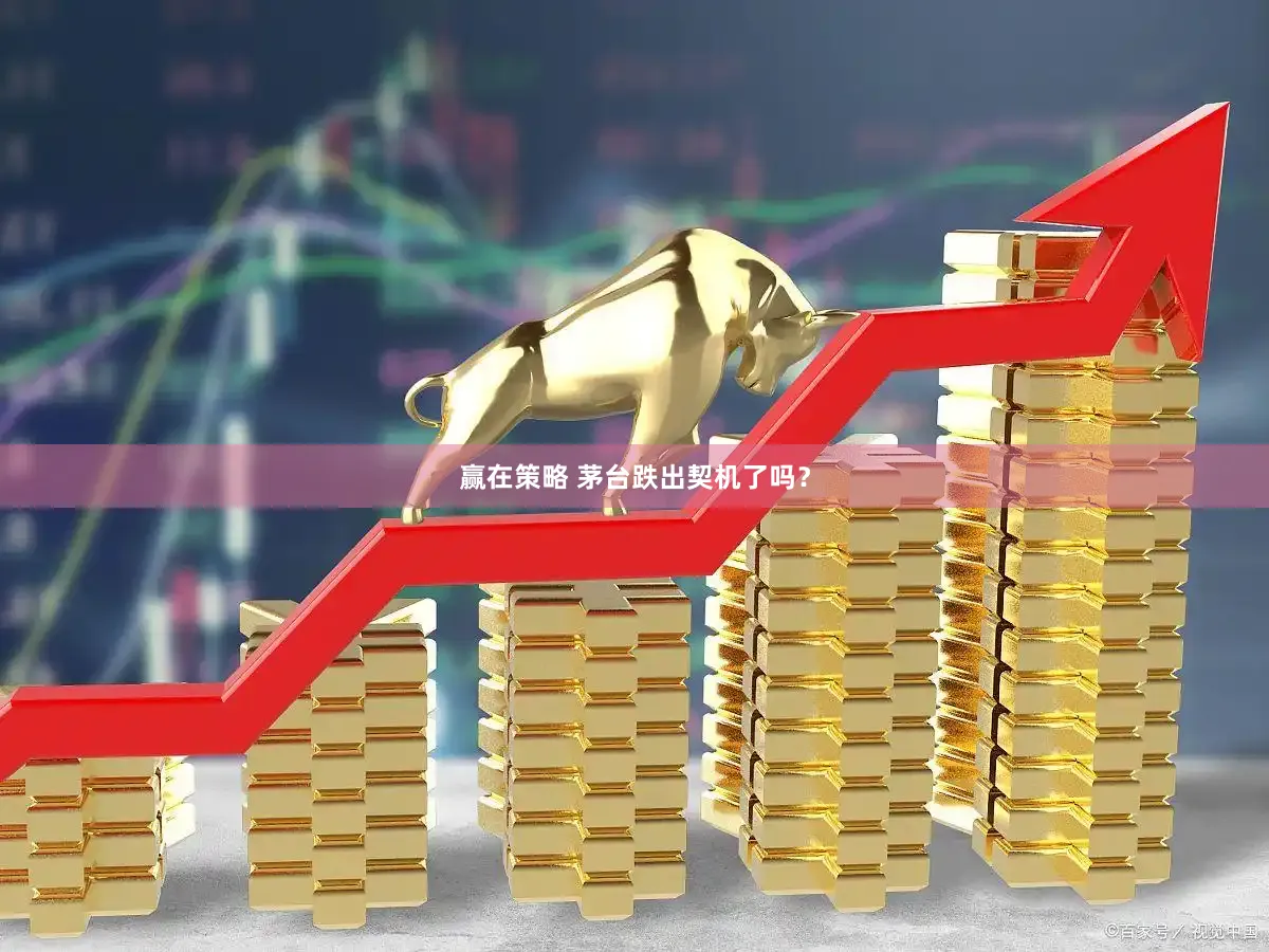 赢在策略 茅台跌出契机了吗？