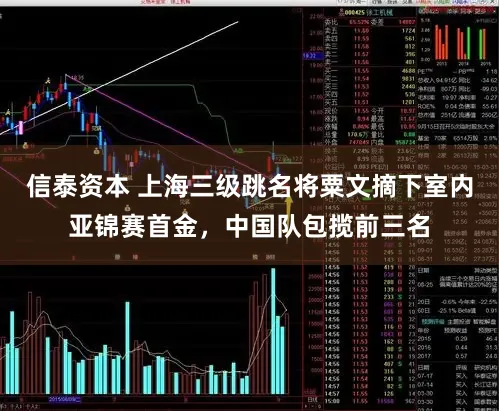 信泰资本 上海三级跳名将粟文摘下室内亚锦赛首金，中国队包揽前三名
