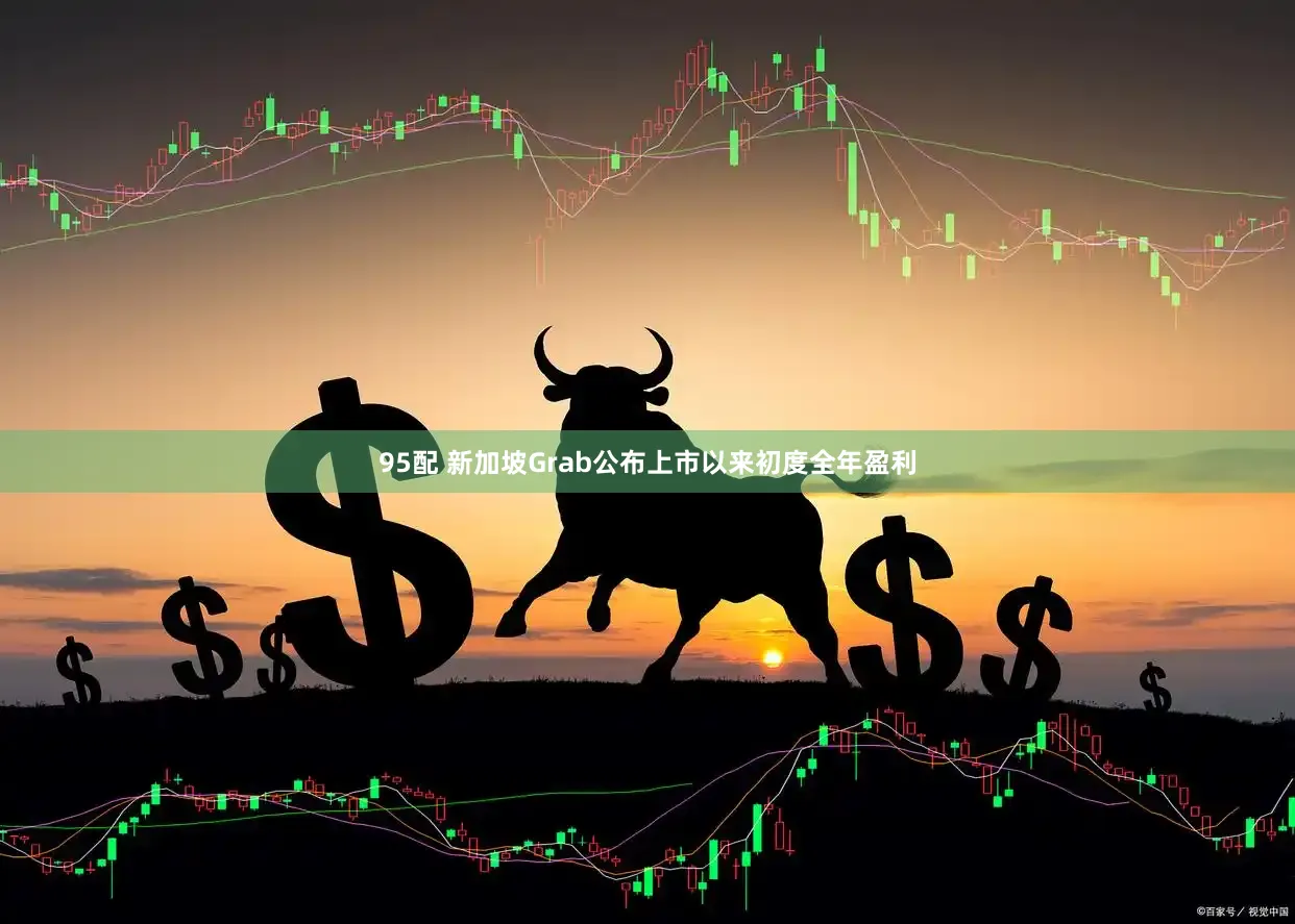 95配 新加坡Grab公布上市以来初度全年盈利