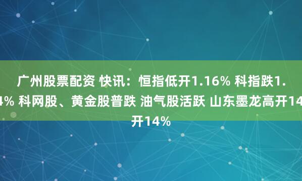 广州股票配资 快讯：恒指低开1.16% 科指跌1.24% 科网股、黄金股普跌 油气股活跃 山东墨龙高开14%
