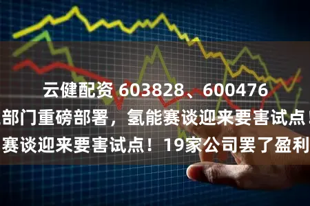 云健配资 603828、600476，被证监会立案！三部门重磅部署，氢能赛谈迎来要害试点！19家公司罢了盈利