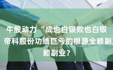 牛股动力 “成也白银败也白银”,帝科股份功绩巨亏的根源全赖副业?