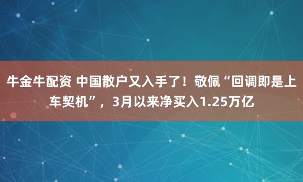 牛金牛配资 中国散户又入手了！敬佩“回调即是上车契机”，3月以来净买入1.25万亿