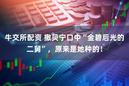 牛交所配资 撒贝宁口中“金碧后光的二舅”，原来是她种的！